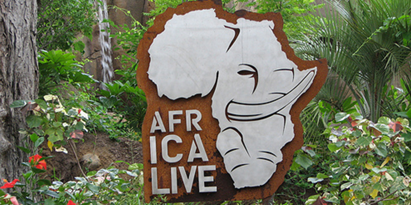 San Antonio Zoo Africa Live! Exhibit Dispute Resolution