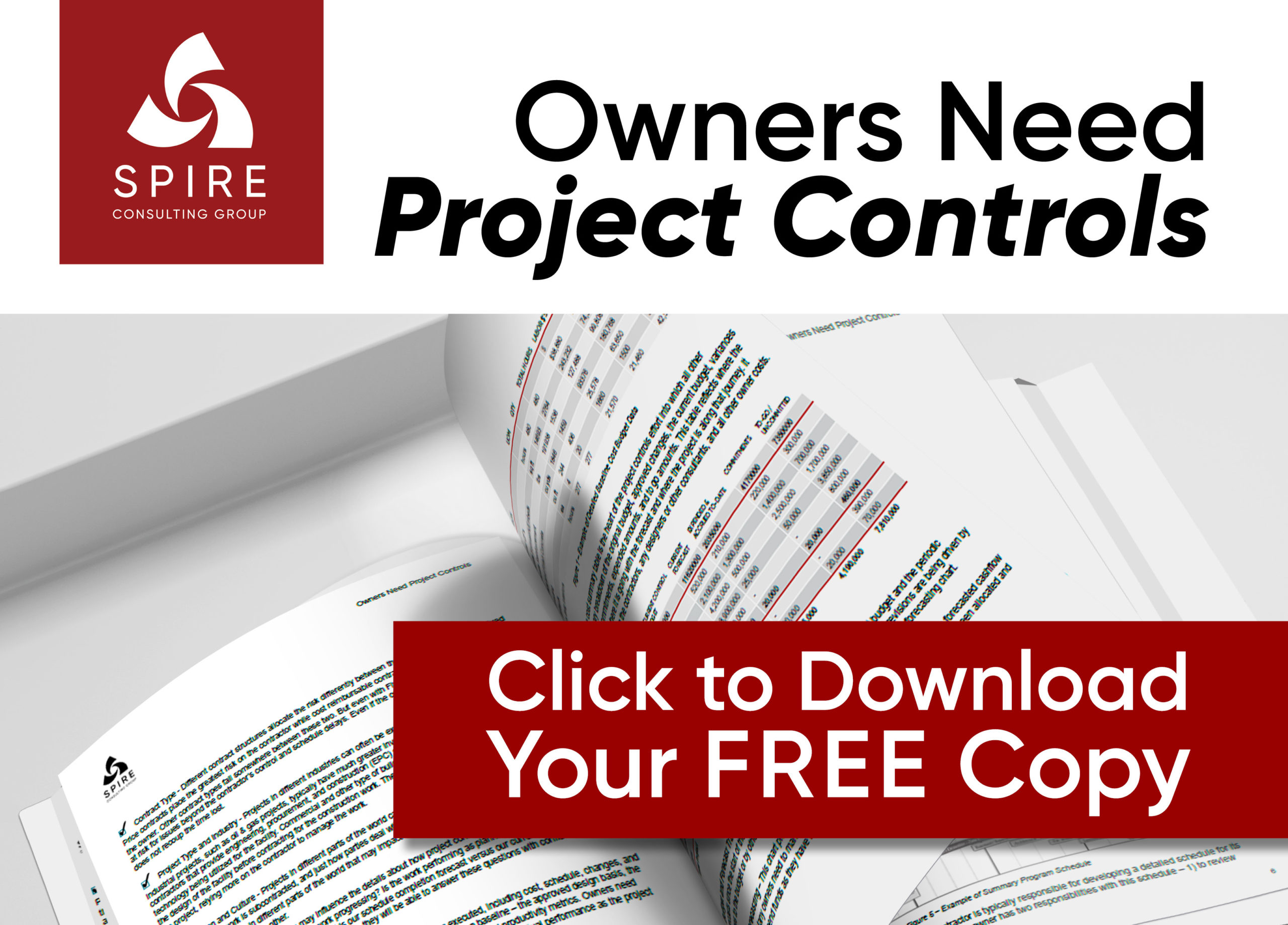 Owners Need Project Controls